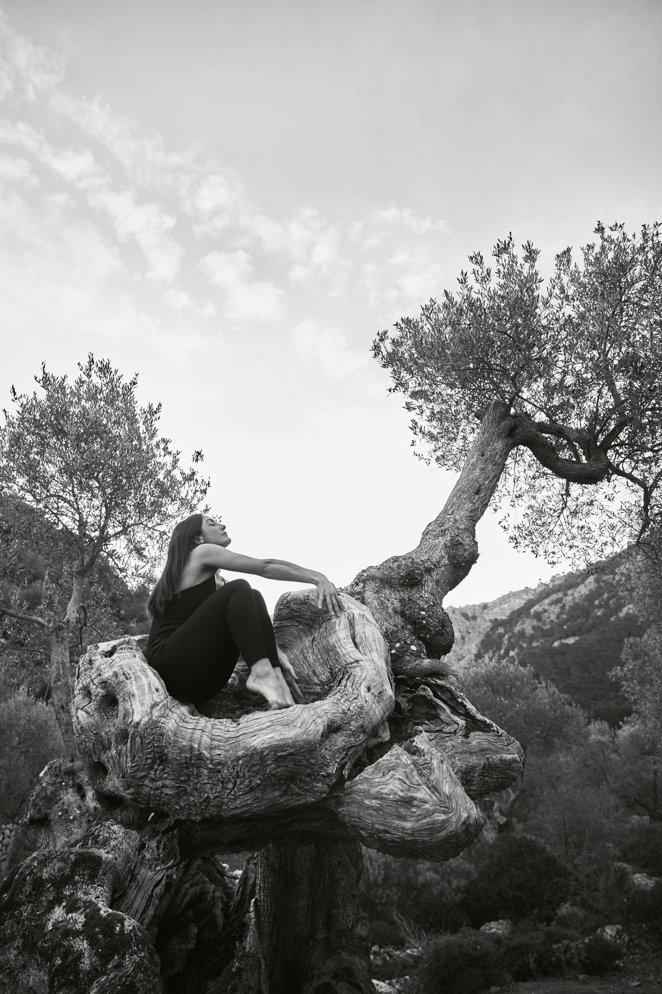 by Mike Meyer Photography