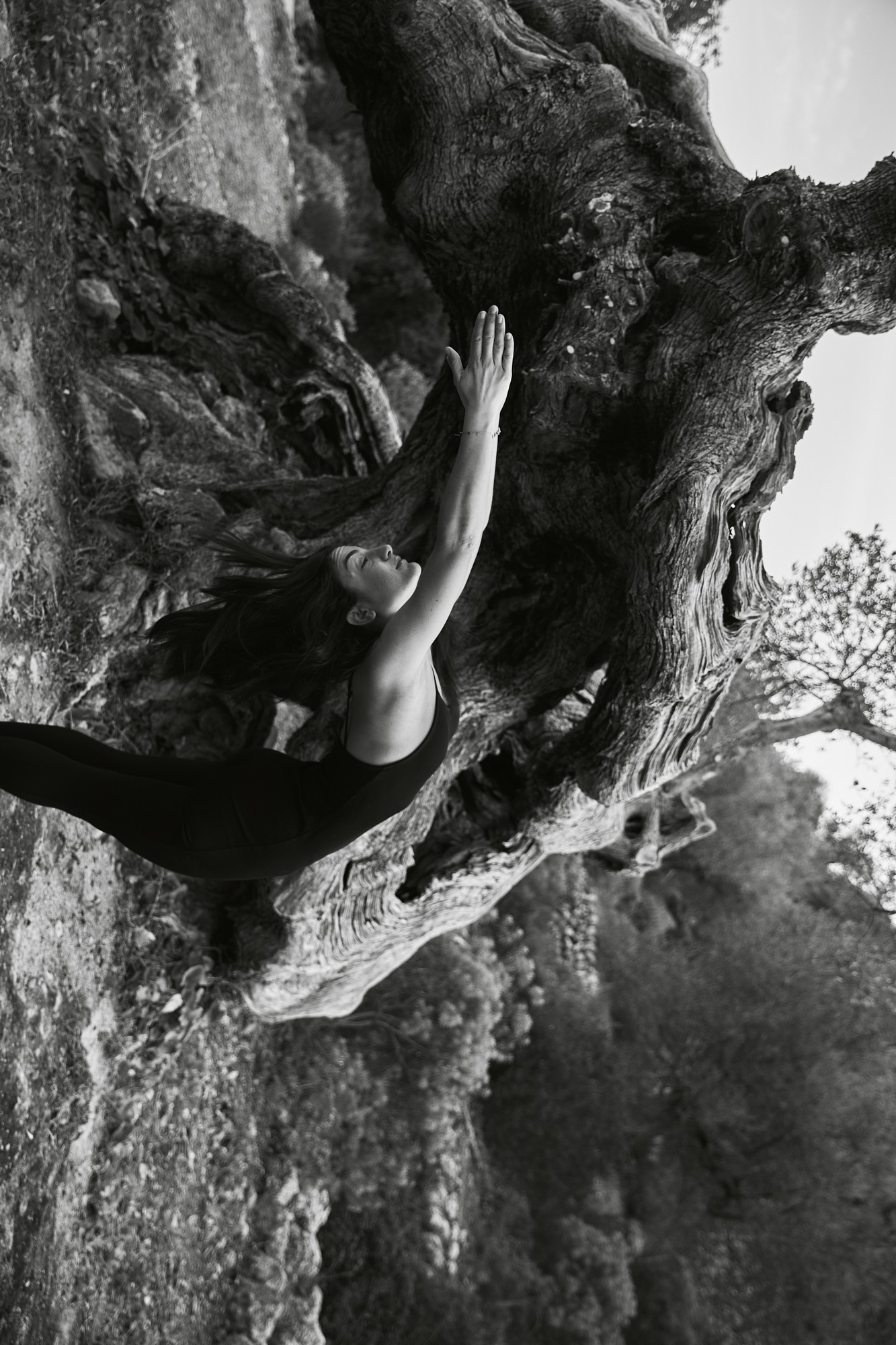  by Mike Meyer Photography